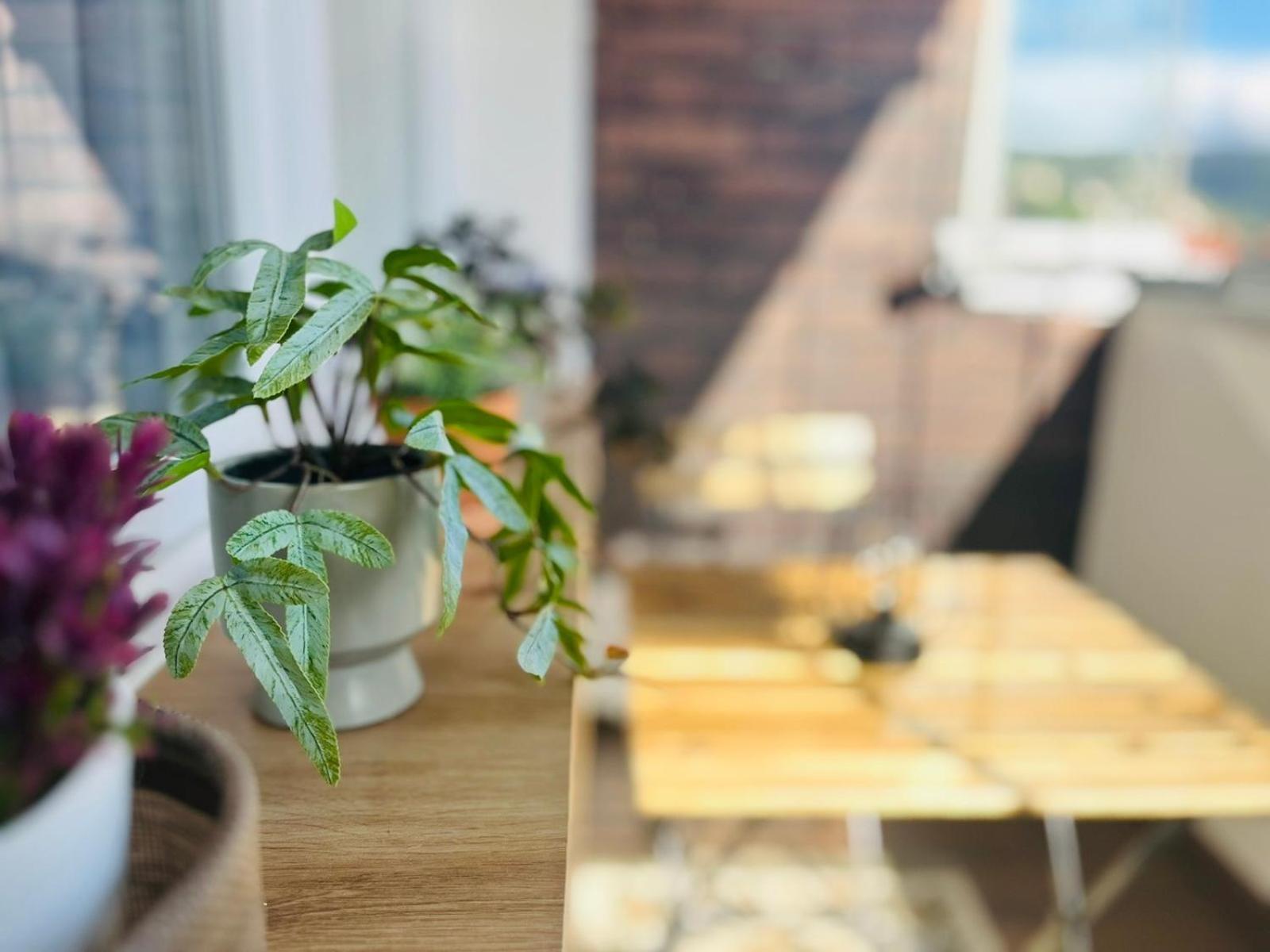 Mak Apartment - Free Parking - Balcony Sarajewo Zewnętrze zdjęcie